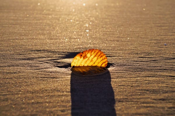 Helping Students Attain a Growth Mindset